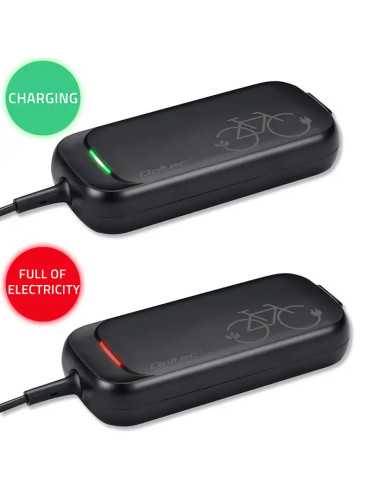 Caricabatterie per batterie al litio 36V