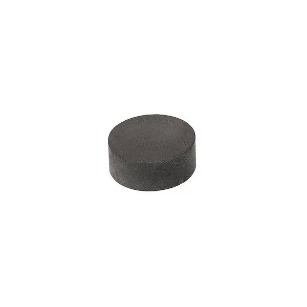 Magneti Calamite 10pz tonde 12x5mm