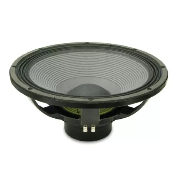 Professional 8 ohm speaker 18NLW9400