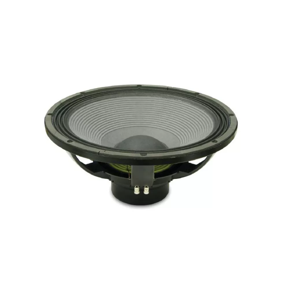 Professional 8 ohm speaker 18NLW9400