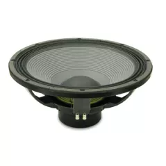 Professional 8 ohm speaker 18NLW9400