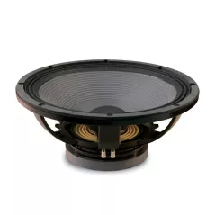 Professional 8 ohm speaker 18LW2400