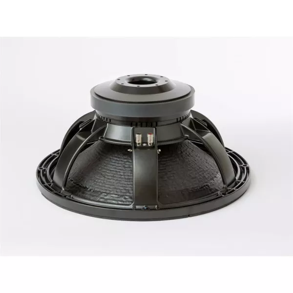 Professional 8 ohm speaker 18LW2400