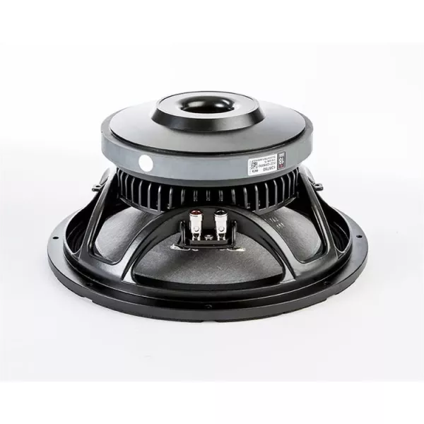 Professional 8 ohm speaker 12W750