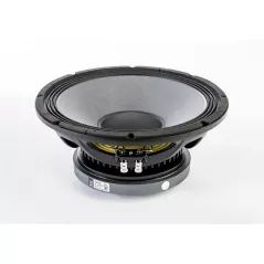 Professional 8 ohm speaker 12W750