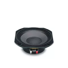 Professional 8 ohm speaker 6ND410