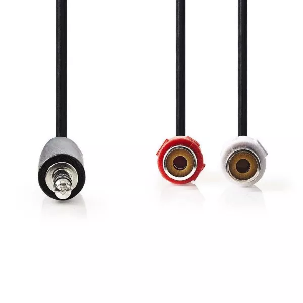 Cavo audio 1 JACK 3.5mm - 2 RCA femmina 20cm