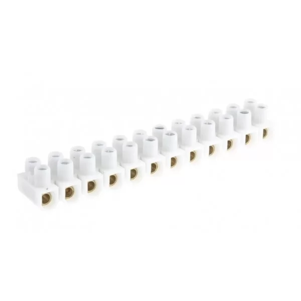 Terminal block 12 poles mammoth 2.5mm