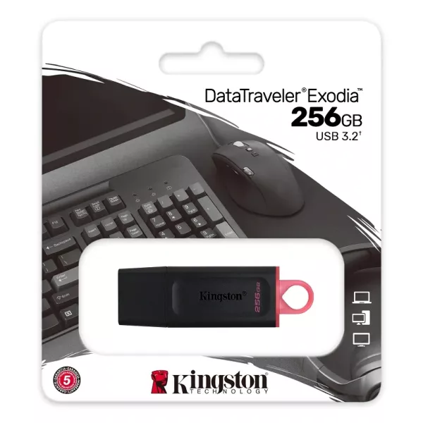 Pen drive USB 3.1 256Gb DTX/256GB